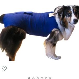 Surgi-Snuggly dog recovery suit